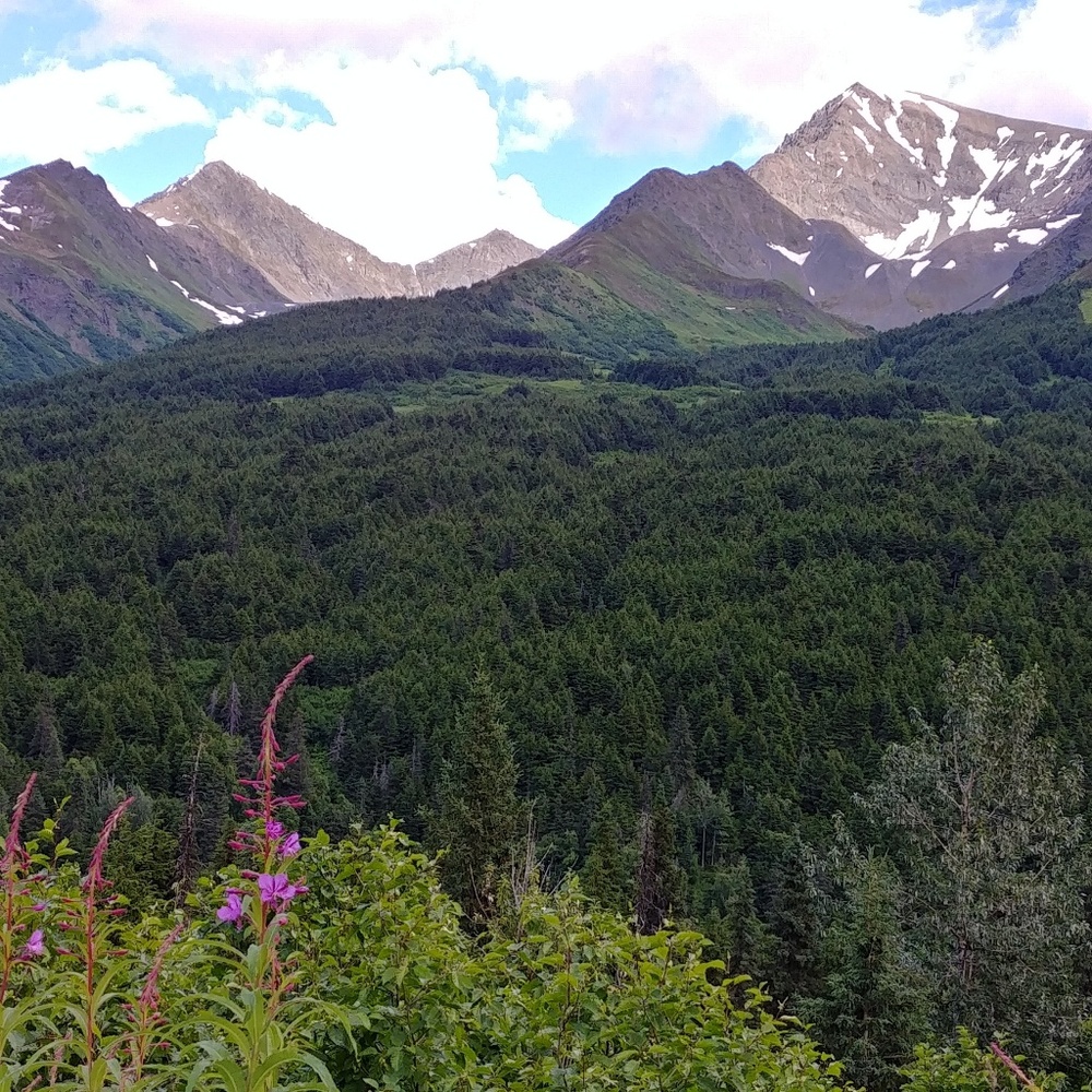 Meet your Posher, Jenny